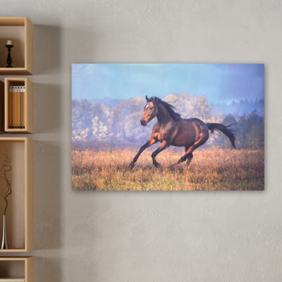 Toile de cheval