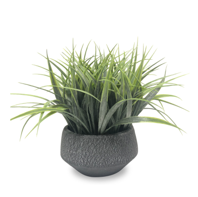 Grass In Ciment Pot Black Vintage 