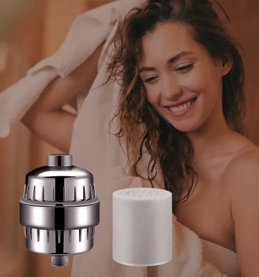 Shower Filter