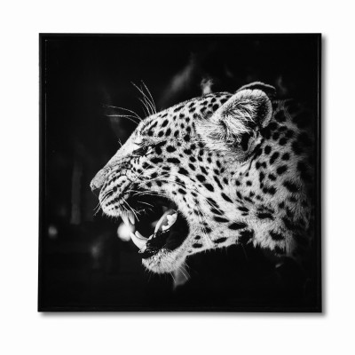 LAUREN TAYLOR-Canvas Animal 25"X25"X1.3"
