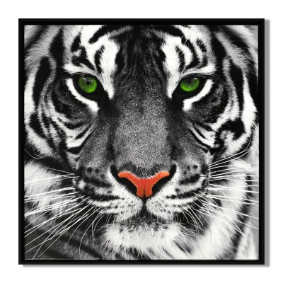  LAUREN TAYLOR- Animal en toile 63X63X3.5