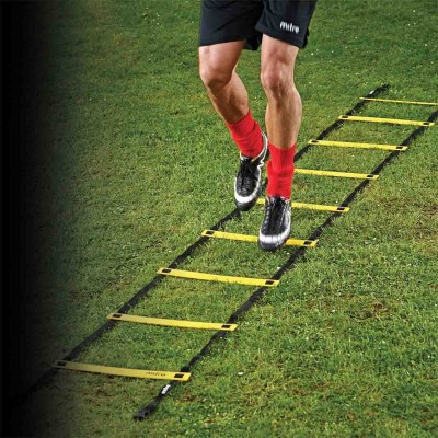 Irongear- Training Ladder