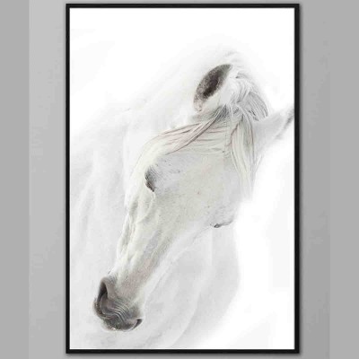 Lauren Taylor-animal en toile impression cheval