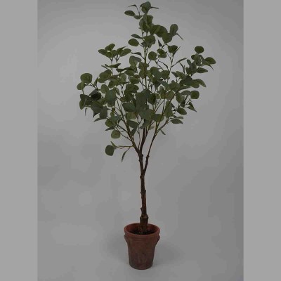Lauren Taylor - Eucalyptus artificiel dans un pot en terre cuite