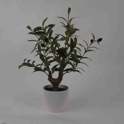 Lauren Taylor -Olivier 43cm Pot Blanc