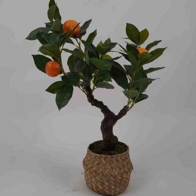 Lauren Taylor - Arbre artificiel orange dans un pot en osier