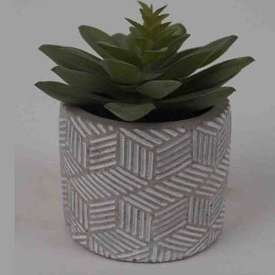 Lauren Taylor - Succulentes artificielles Stout dans un pot en ciment gris