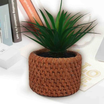 Lauren Taylor - Succulente artificielle dans un pot en ciment