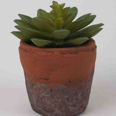 Lauren Taylor - Succulente artificielle dans un pot en terre cuite