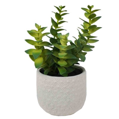 Lauren Taylor - Artificial Succulent in White Ceramic Pot