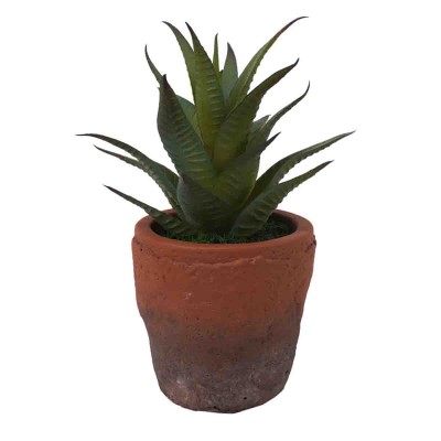 Lauren Taylor - Artificial Succulents in Clay & White Footed Pots
