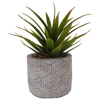 Lauren Taylor - Succulentes artificielles en pot de ciment gris