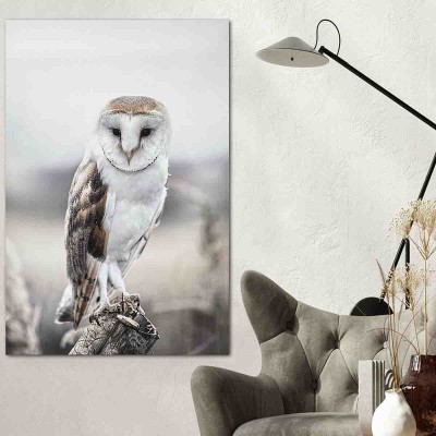  Lauren Taylor - Toile de la faune