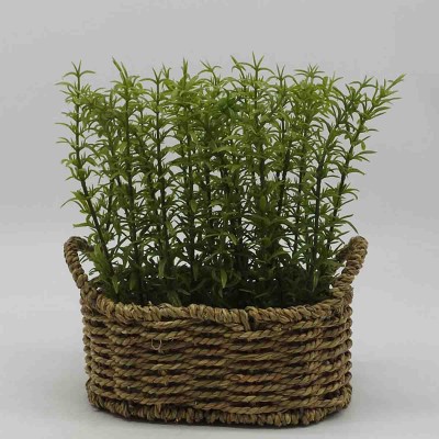 Lauren Taylor -Artificial Foliage in a Plastic Wicker Basket