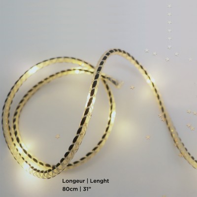 Rope Light 20l Micro Led-80cm