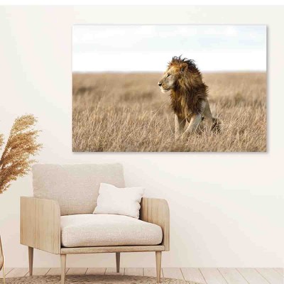 Toile Lion dans les champs
