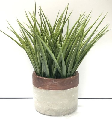 Artificial Green Plant in Cement Pot | Wood Look 12 x 24 cm