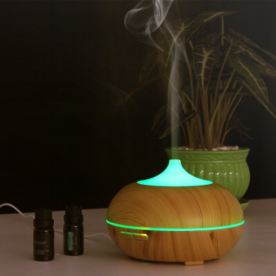 Lauren Taylor - Essential Oil Diffusers with LED Lights