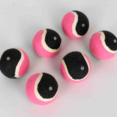 Paws & Whiskers - Fetch Tennis Balls