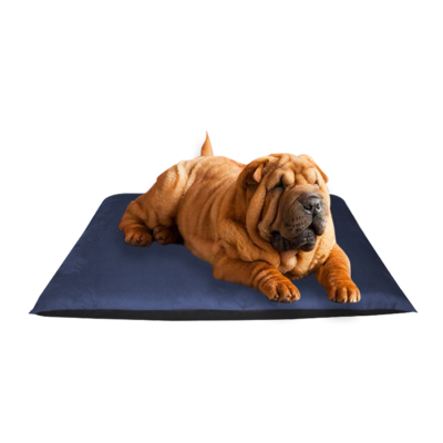 Pet Bed 69 * 91 Cm