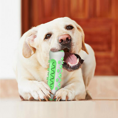 Pet Tooth Cleaning Toy