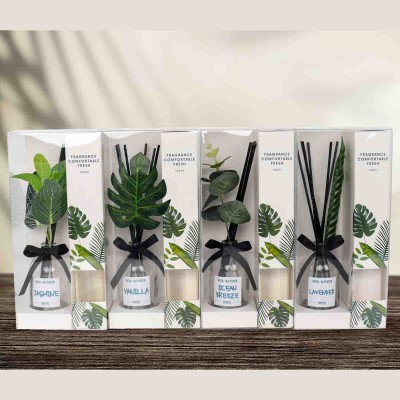 Le Spa - Diffuser With Plant And Black Rattan 100ml