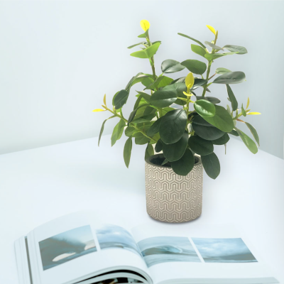 Plant In Geo Cement Pot White/yellow 24*33