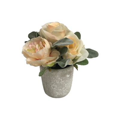 Fleur de rose en pot céramique