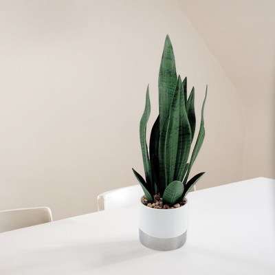 Snake Plant Ceramic Pot 12x48.5 