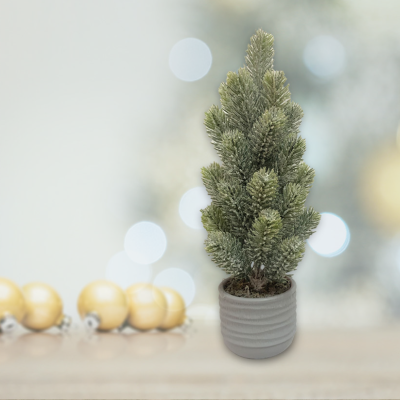 Xmas Tree 21 Cement Pot 20x40
