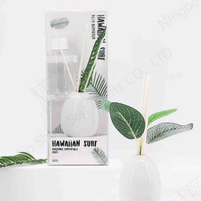 Spa - 80ml Diffuser With Plant