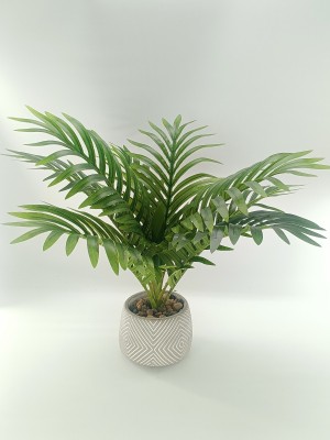 LAUREN TAYLOR - Fern in Cement Pot