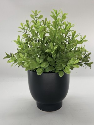 LAUREN TAYLOR - Grass Ceramic Pot