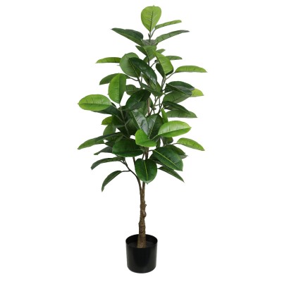 Lauren Taylor - Ficus Tree 72 Leaves
