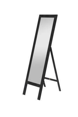 Standing Mirror  