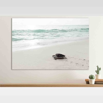 Toile Tortue échouée