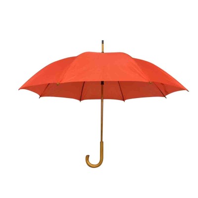 Adrien Lewis - Parapluie avec poignée en bois