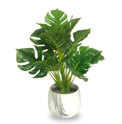Monstera In Marble Pot 