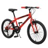 Phoenix - Boys Bike with 7 Speeds (20