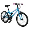 Phoenix - Girls Bike with 7 Speeds (20