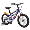 Phoenix - Boys Bike with Side Wheels (16