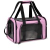 PAWS & WHISKERS - Pet Travel Carrier