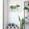 Canvas Greens In Pot 60x90in
