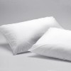 Studio 707 - Anti Bed Bug Pillow Protectors - Magasins Hart | Hart Stores