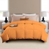 W Home - Cotton Comforter - Magasins Hart | Hart Stores