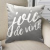 Joie De Vivre Velvet Decorative Cushions 18x18 - Magasins Hart | Hart Stores