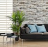 Corn Stalk Dracaena 94 cm