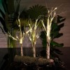 LED Birch Trees - Magasins Hart | Hart Stores