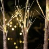 LED Birch Trees - Magasins Hart | Hart Stores
