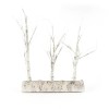 LED Birch Trees - Magasins Hart | Hart Stores